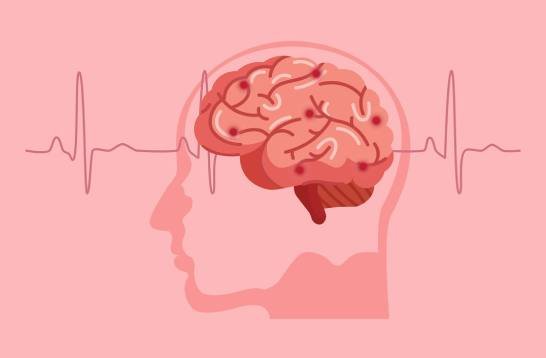 Diagram explaining how The Last Wish digital audio program works through guided listening